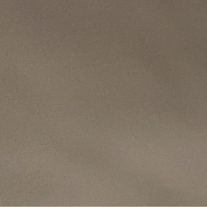 Meet your Posher, Bailey